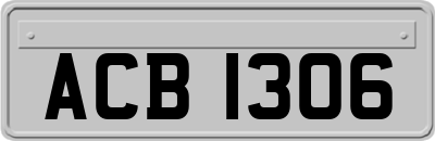 ACB1306