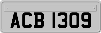 ACB1309