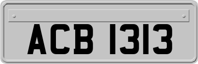 ACB1313