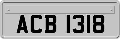 ACB1318