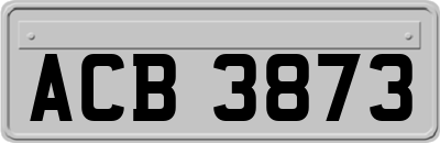 ACB3873