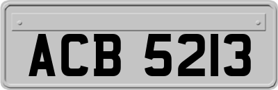 ACB5213