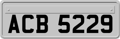 ACB5229
