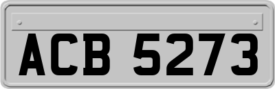 ACB5273