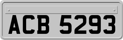 ACB5293