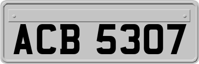 ACB5307