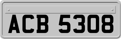 ACB5308