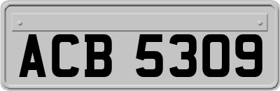ACB5309
