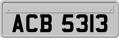 ACB5313