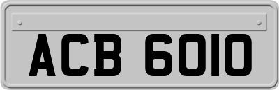 ACB6010