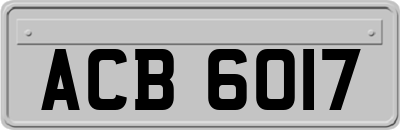 ACB6017