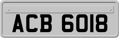 ACB6018