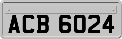 ACB6024