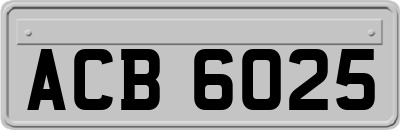 ACB6025