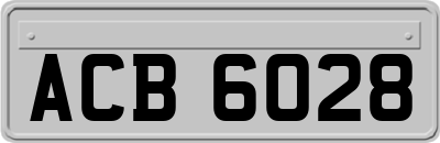 ACB6028