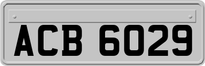 ACB6029