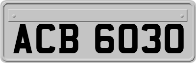 ACB6030
