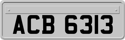 ACB6313