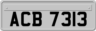 ACB7313