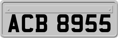 ACB8955