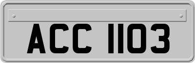 ACC1103
