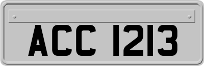 ACC1213
