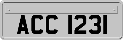 ACC1231