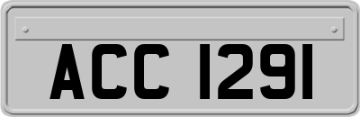 ACC1291