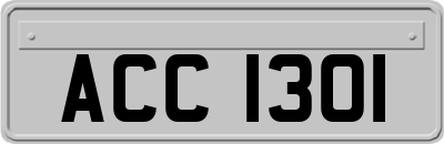 ACC1301
