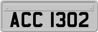 ACC1302