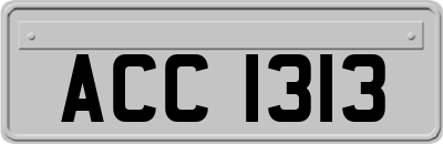 ACC1313