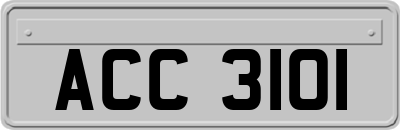 ACC3101