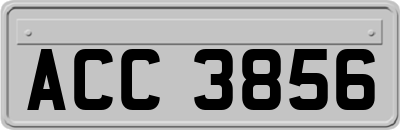 ACC3856