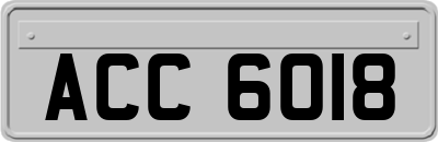 ACC6018