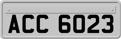 ACC6023
