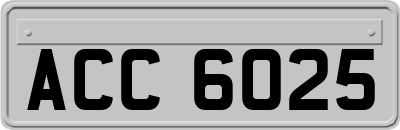 ACC6025