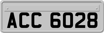 ACC6028