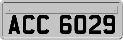ACC6029