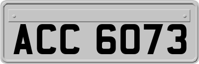 ACC6073