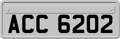 ACC6202