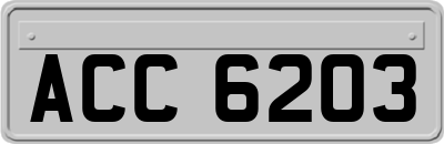 ACC6203
