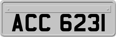 ACC6231
