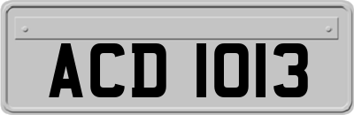 ACD1013