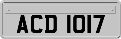 ACD1017