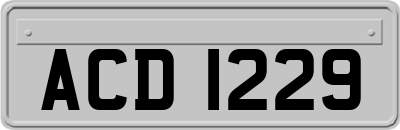 ACD1229