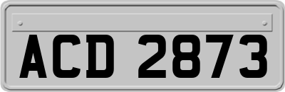 ACD2873