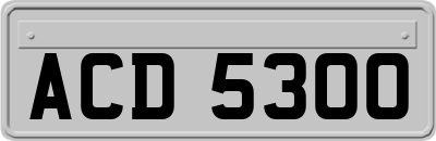ACD5300