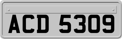 ACD5309