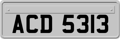 ACD5313