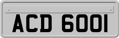 ACD6001